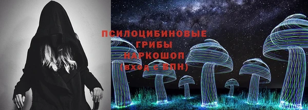 a pvp Алзамай