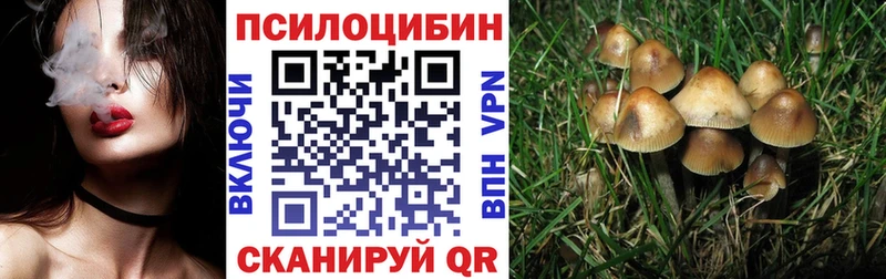 цена   Кулебаки  Псилоцибиновые грибы мицелий 